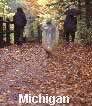 Michigan Wildlife Photography