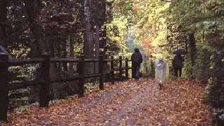 fall colors trail