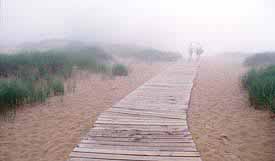 foggy two-some on boardwalk