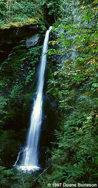 Marymere Falls