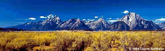 grand tetons